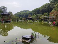 -云溪植物园