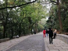 -灵岩山风景区