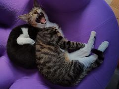 -我家福厨(万达中餐厅店)