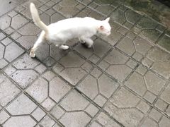 -山城巷传统风貌区