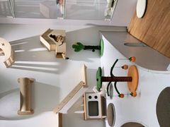 -COLOR PETS 撸猫馆·购猫·猫咖(长风大悦城店)