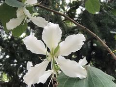 -田心森林公园