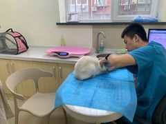-美联众合动物医院·24h京西诊疗中心