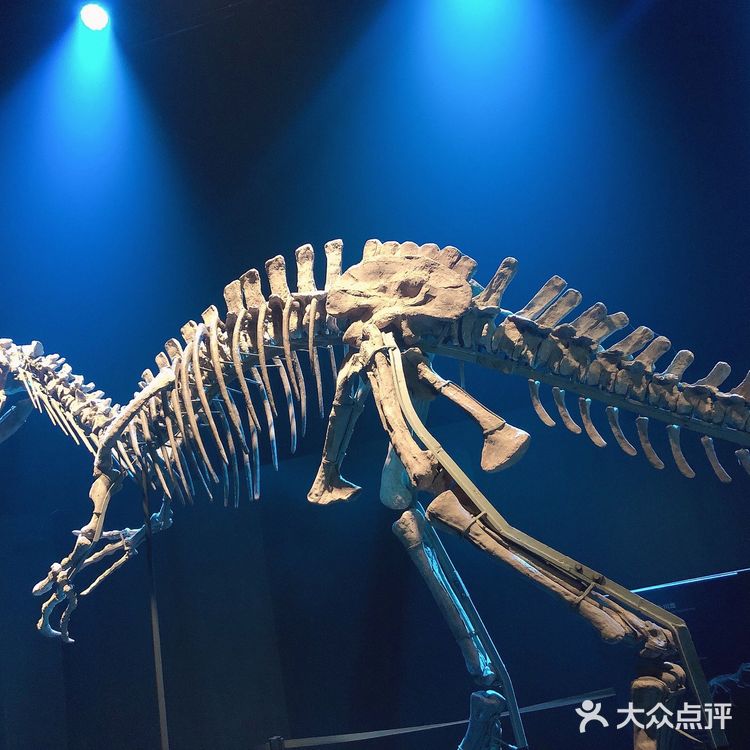 熊猫基地的侏罗纪恐龙乐园