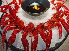 冰镇龙虾-一棠龙虾(徐家汇城开YOYO店)