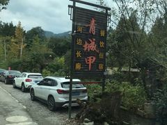 -青城甲(青城山店)