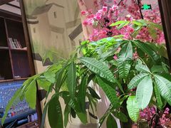 -東大方(安吉灵芝店)