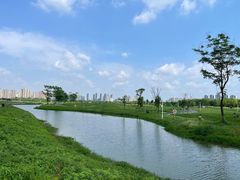 -洋湖国家湿地公园