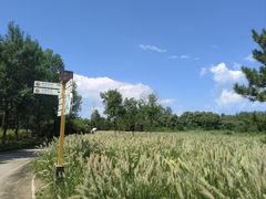 -翠湖国家城市湿地公园