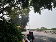 -宝安西湾红树林湿地公园