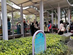 -荔湾区儿童公园