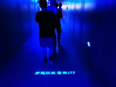 -白鹤梁水下博物馆