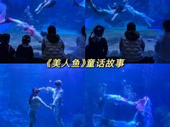-左海海底世界