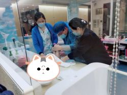 -卓玥国际月子会所(罗山路店)