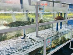 -宴悦海鲜餐厅·游水海鲜·牛排(亚龙湾瑞吉店)