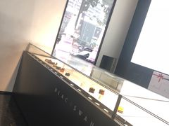 -BLACKSWAN黑天鹅(环球店)