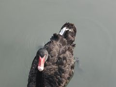 -长兴太湖图影湿地文化园