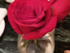 -the rug 飞毯 (朝阳公园店)
