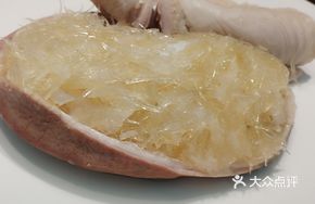 Shark Fin Wrapped in Pork Stomach (with 7 taels of shark fin, pork stomach, and chicken)