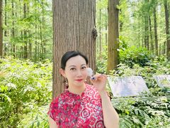 -水杉园