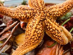 -大城·烧烤海鲜大排档(台东店)