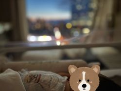 -baby bella小贝拉母婴护理中心(北京东隅店)