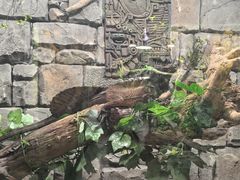 -正佳雨林生态植物园