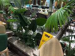 -春润大地海南椰子鸡(沙井京基百纳广场店)