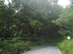 -木兰云雾山