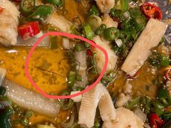-大丰收脆鱼(浦西万达店)