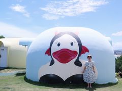 -漳州滨海火山岛自然生态风景区
