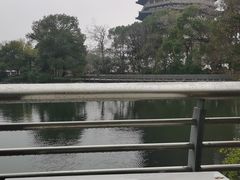 -听松楼·花园酒店·自助餐厅(红梅公园店)