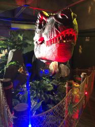 -恐龙探索乐园(磁器口店)