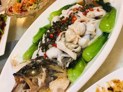 清蒸鲈鱼-粤秀小厨·广式早茶(辽宁路店)