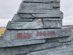 -郭莽湿地