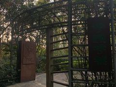 -深圳国际园林花卉博览园