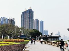 -珠江夜游广州塔·中大码头