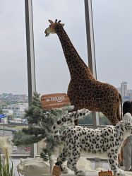 -IMON·HANSA潮玩玩偶毛绒玩具(通州万象汇店)