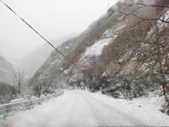-秦岭风景区