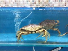 -港畔赶海蒸汽海鲜烧烤自助(仙螺岛店)