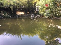 -汇龙潭