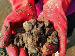 -东戴河风景区-止锚湾