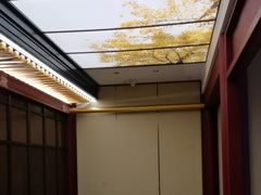 -京味斋·烤鸭·北京菜(安贞店)