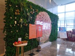 -成都艾特他整形外科医院