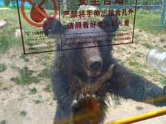 -栾川竹海野生动物园