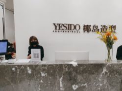 -YESIDO椰岛造型