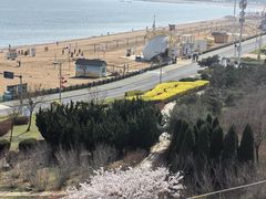-大连金石滩绿发温泉假日酒店