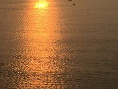 -北岐滩涂