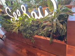 -Seesaw Coffee(朝阳大悦城店)