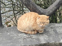 -萍乡武功山风景名胜区